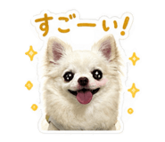 840966691