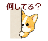 840966763