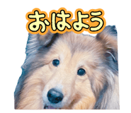 840966945