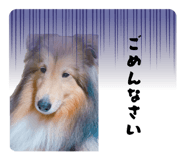 840966949
