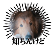840966952