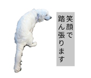 840967177