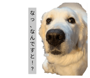 840967182
