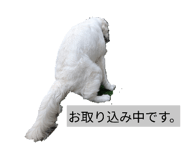 840967183