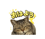 840967983
