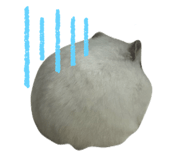840969080