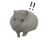 840969602