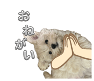 840969618