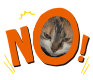 840969686