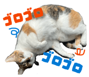 840969689
