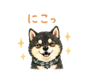840970377