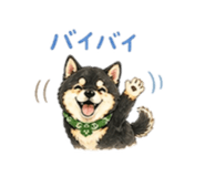 840970386