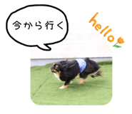 840972541