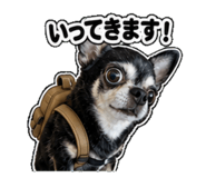 840972565