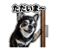 840972567