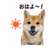 840972849