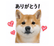 840972850
