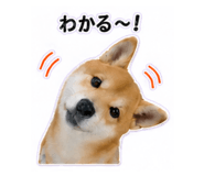 840972852