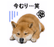 840972855