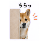 840972856