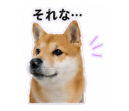 840972859