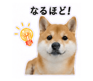 840972861