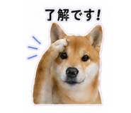 840972862