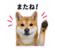 840972865