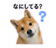 840972866