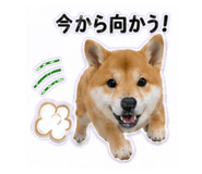 840972867