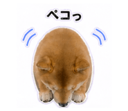 840972868