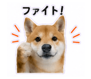 840972869