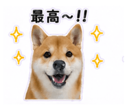 840972870