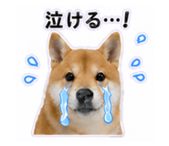 840972871