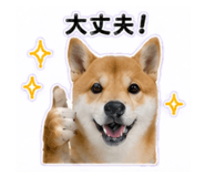 840972872