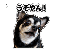 840972880