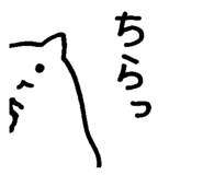 840972904