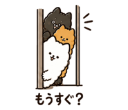 840973704