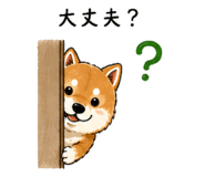 840974082