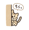 840974111