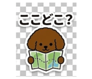 840974545