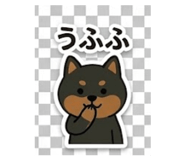 840974551
