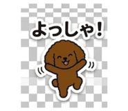 840974557