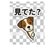840974559