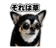 840975060