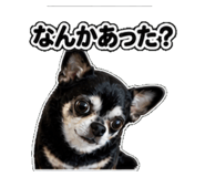 840975068