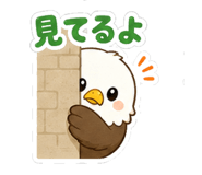 840975229