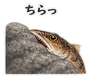 840975452