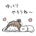 840975574