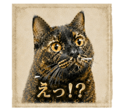 840976930